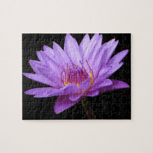 Paars Water Lily Puzzle Legpuzzel (Horizontaal)