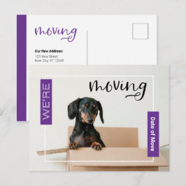 Paars we verplaatsen Dachshund Dog in Box Briefkaa Briefkaart