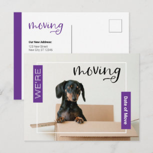 Paars we verplaatsen Dachshund Dog in Box Briefkaa Briefkaart