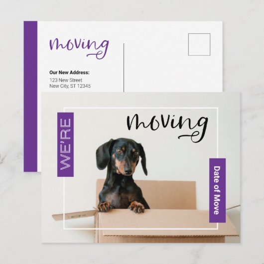 Paars we verplaatsen Dachshund Dog in Box Briefkaa Briefkaart (Voorkant / Achterkant)