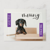Paars we verplaatsen Dachshund Dog in Box Briefkaa Briefkaart (Voorkant)