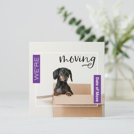 Paars we verplaatsen Dachshund Dog in Box Kaart (Staand voorkant)