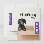 Paars we verplaatsen Dachshund Dog in Box Kaart (Voorkant)