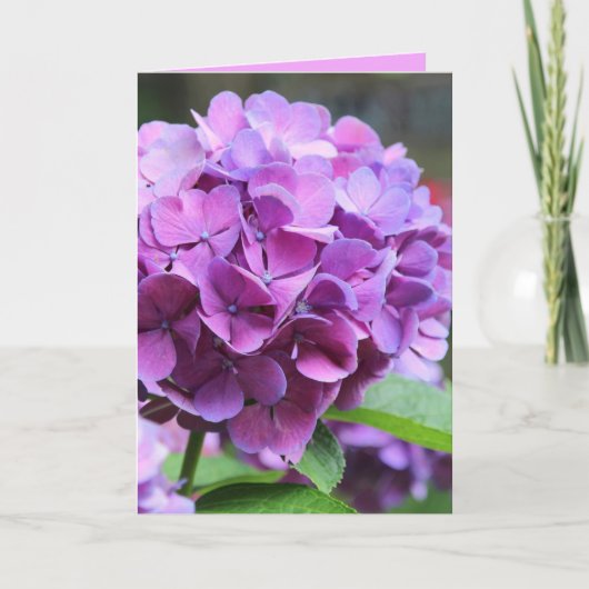 Paars Wenskaart Hydrangea Kaart (Voorkant)