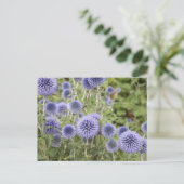 Paars Wereldbol Thistles in een Zwitserse tuin Briefkaart (Staand voorkant)