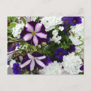Paars-White Blue Flowers DIY Briefkaart