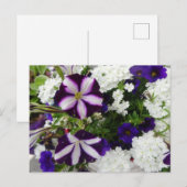 Paars-White Blue Flowers DIY Briefkaart (Voorkant / Achterkant)