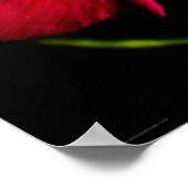 Paars Wild Flower wapn. Poster (Hoek)