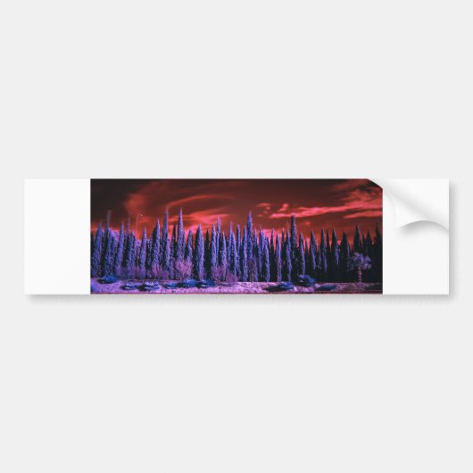 paars winterluchtruim bumpersticker (Voorkant)