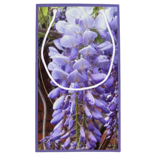 Paars Wisteria Blossom Klein Cadeauzakje (Achterkant)