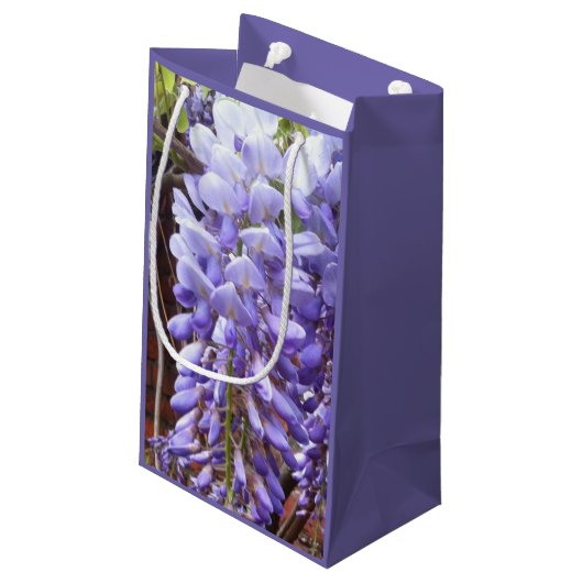 Paars Wisteria Blossom Klein Cadeauzakje (Achterkant Gekanteld)