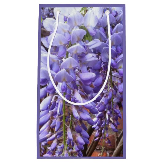 Paars Wisteria Blossom Klein Cadeauzakje (Voorkant)