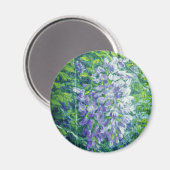 Paars Wisteria Magnet (Voorkant / Achterkant)
