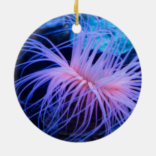 Paars Zee Anemone Marine Life Keramisch Ornament