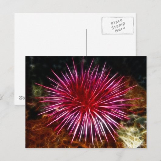 Paars Zee Urchin Briefkaart (Voorkant / Achterkant)