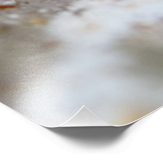 Paars Zee Urchin Foto Afdruk (Hoek)