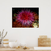 Paars Zee Urchin Poster (Keuken)