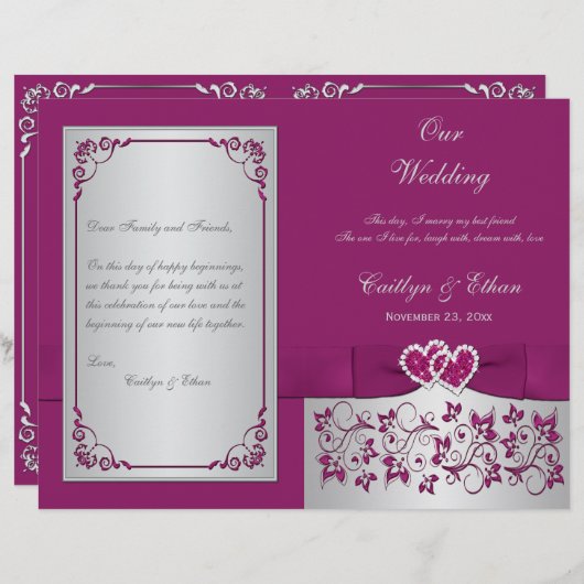 Paars, zilveren programma voor het trekken van har (Voorkant / Achterkant)