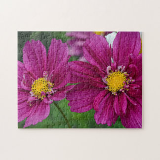 Paars Zinnia Legpuzzel