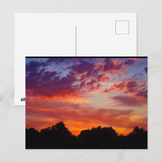 Paars Zonsondergang Landschap Briefkaart (Voorkant / Achterkant)