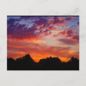 Paars Zonsondergang Landschap Briefkaart (Voorkant)
