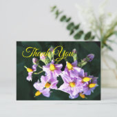 Paarse Aardappelbloem Dankkaart Bedankkaart (Staand voorkant)
