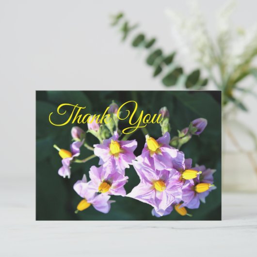 Paarse Aardappelbloem Dankkaart Bedankkaart (Staand voorkant)