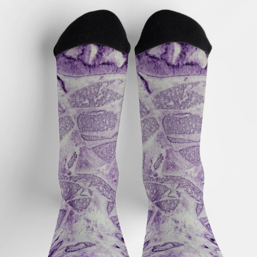 Paarse Abstracte verf Sokken (Top)