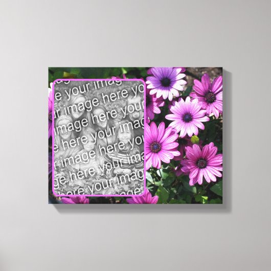 Paarse African Daisy Flowers Creëer Uw eigen foto Canvas Afdruk (Voorkant)