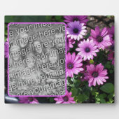 Paarse African Daisy Flowers Voeg je eigen foto to Fotoplaat (Voorkant)