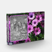 Paarse African Daisy Flowers Voeg je eigen Fotoblokken (Links)