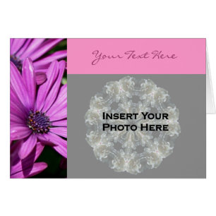 Paarse Afrikaanse Daisies Floral-fotokaart