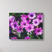 Paarse Afrikaanse Daisies geknette blik Canvas Afdruk (Voorkant)