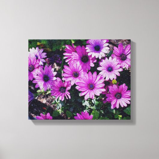 Paarse Afrikaanse Daisies geknette blik Canvas Afdruk (Voorkant)