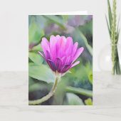 Paarse Afrikaanse Daisy Bud Flower Art Note Kaart (Voorkant)