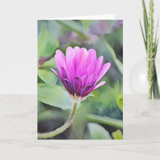 Paarse Afrikaanse Daisy Bud Flower Art Note Kaart (Voorkant)
