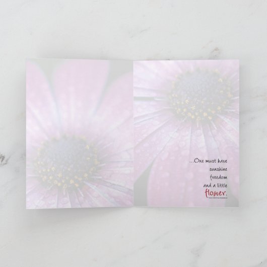 Paarse Afrikaanse Daisy, door Anna Wight Kaart (Binnen)