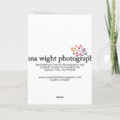 Paarse Afrikaanse Daisy, door Anna Wight Kaart (Achterkant)