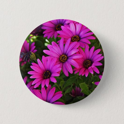 Paarse Afrikaanse Daisy Ronde Button 5,7 Cm (Voorkant)