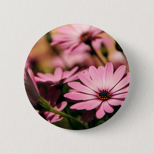 Paarse Afrikaanse Daisy Ronde Button 5,7 Cm (Voorkant)