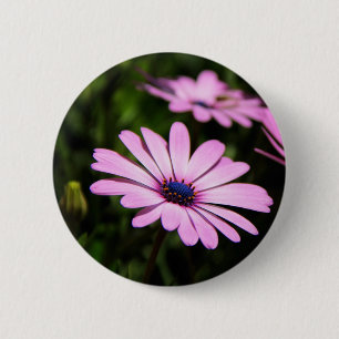 Paarse Afrikaanse Madeliefje Foto Ronde Button 5,7 Cm