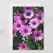 Paarse Afrikaanse Madeliefjes Bruiloft Save The Da Kaart (Achterkant)