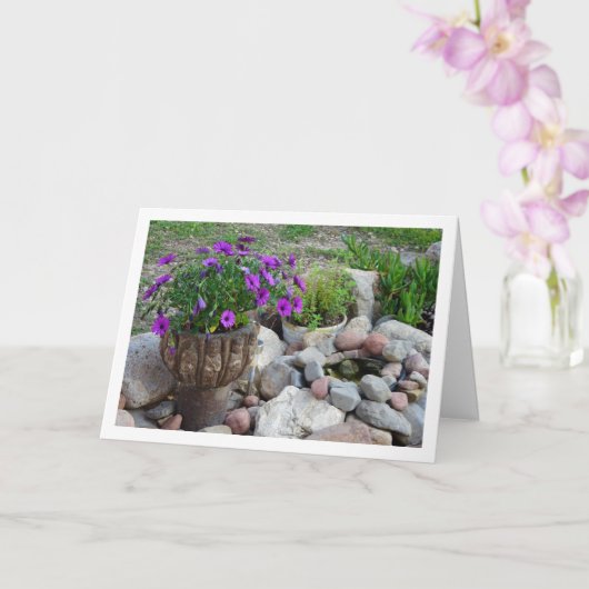 Paarse Afrikaanse madeliefjes portret Kaart (Orchidee)