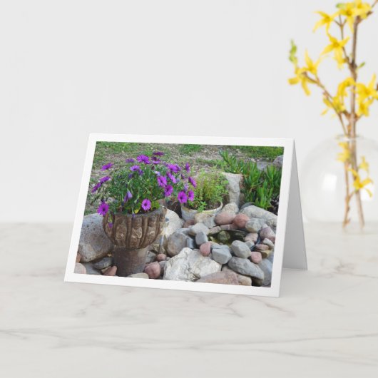 Paarse Afrikaanse madeliefjes portret Kaart (Gele Bloem)