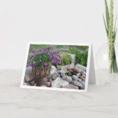 Paarse Afrikaanse madeliefjes portret Kaart (Voorkant)