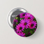 Paarse Afrikaanse margriet Ronde Button 5,7 Cm (Voorkant /achterkant)