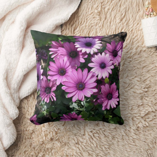 Paarse Afrikaanse margrietbloemen  Kussen (Deken)