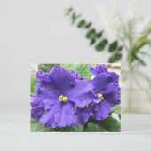 Paarse Afrikaanse Violet Flowers Briefkaart (Staand voorkant)