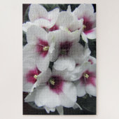 paarse Afrikaanse viooltjes bloemen puzzel  (Verticaal)