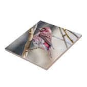 Paarse afwerking keramische foto's tegeltje (Zijkant)